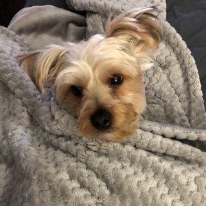 Meet your Posher, Karla